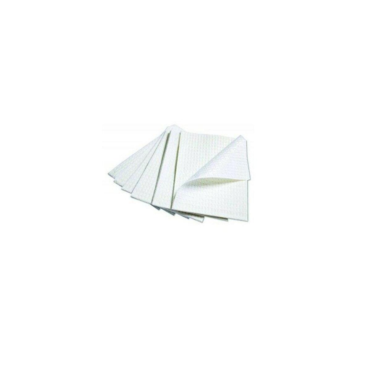 d2-dental-bibs-2-ply-1-ply-poly-white-500-case