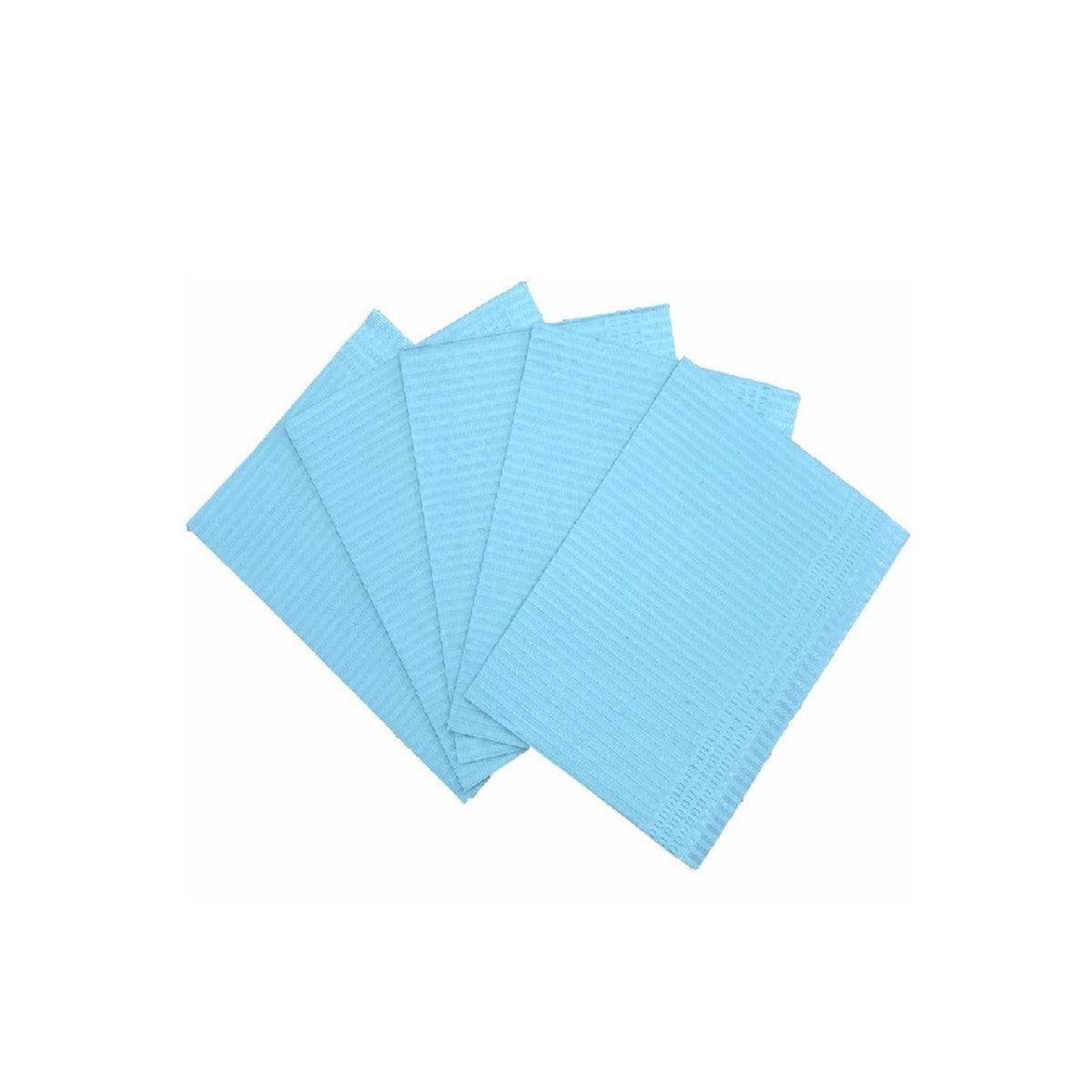 D2: Dental Bibs 2 Ply 1 Ply Poly Blue 500/Case 
