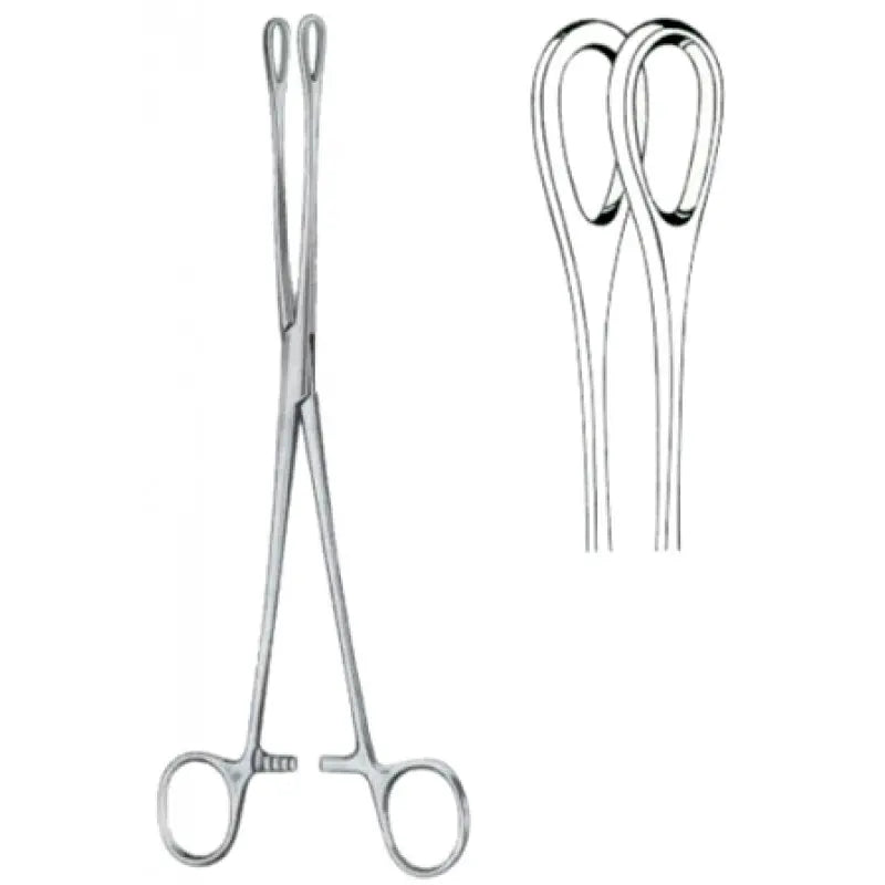 Surgical Sponge Forceps 24 CM | 19-990