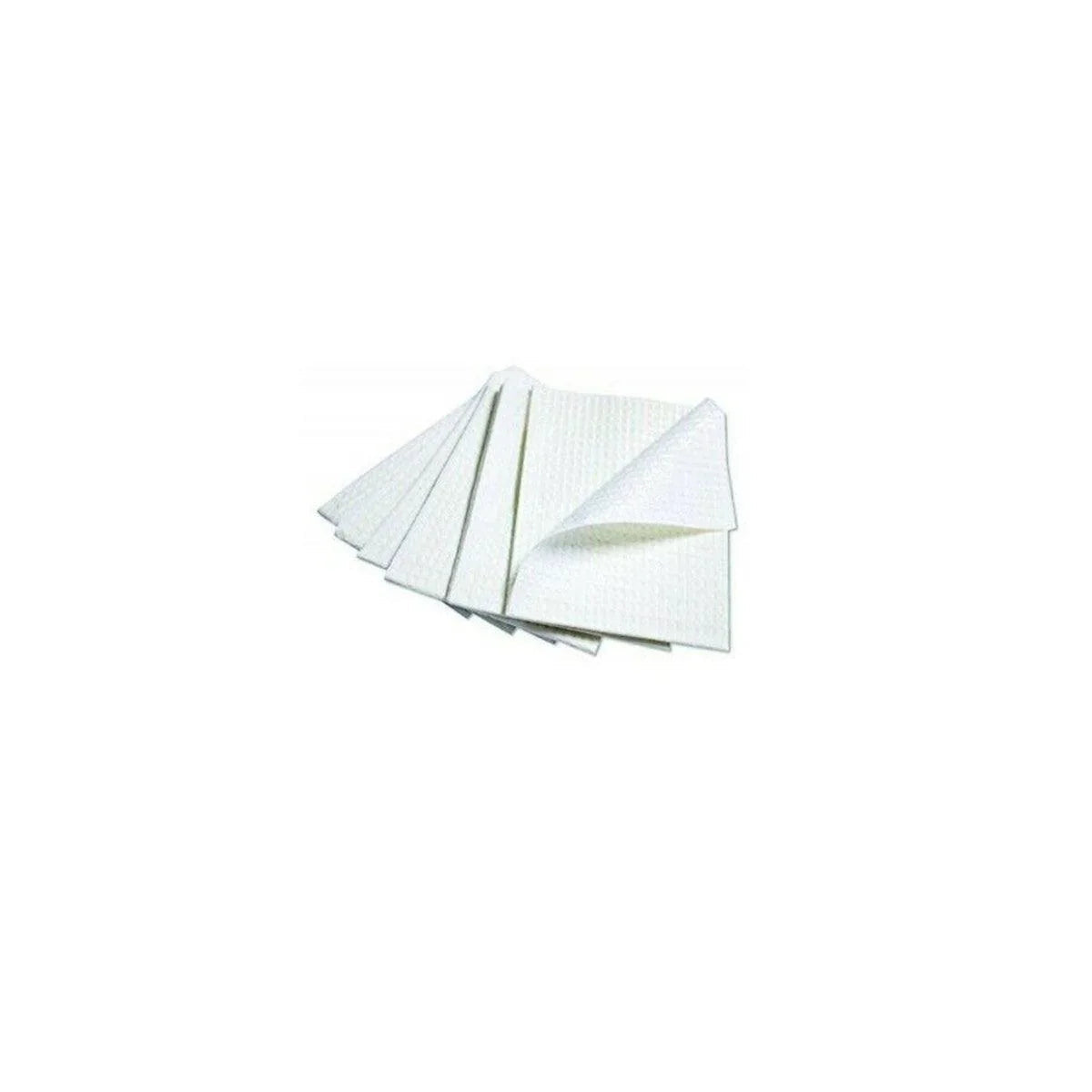 D2: Dental Bibs 2 Ply 1 Ply Poly White 500/Case PP129-W