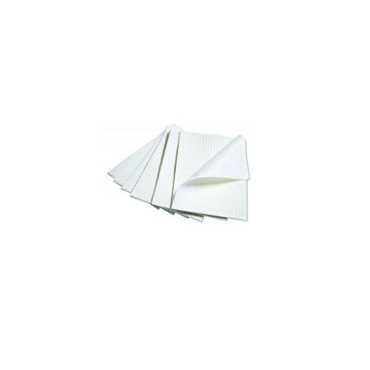 D2: Dental Bibs 2 Ply 1 Ply Poly White 500/Case