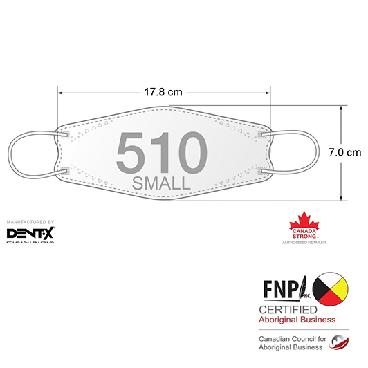 White N95 Masks - Size Small (Dent-X Canada FN-N95-510 Small Model - Box of  10 Disposable Masks)