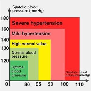 Digital Wrist Blood Pressure Heart Rate Pulse Meter