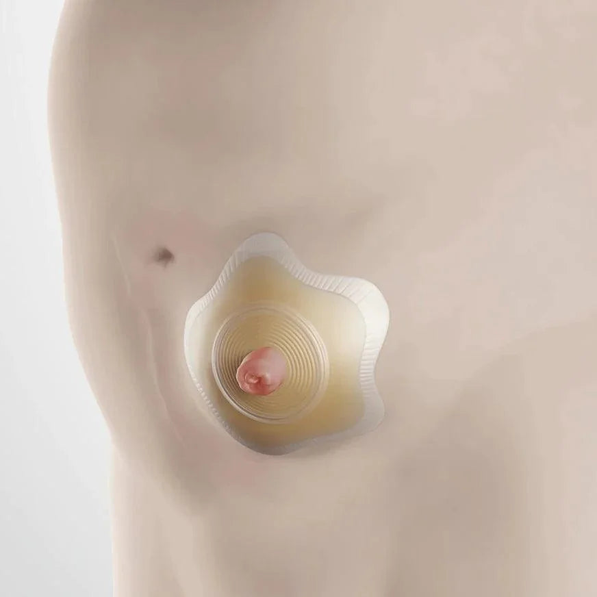 Pouch Ostomy Sensura Mio 2Pc Click Concave Ctf 70Mm 10-65Mm Bx/5